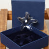 Swarovski star